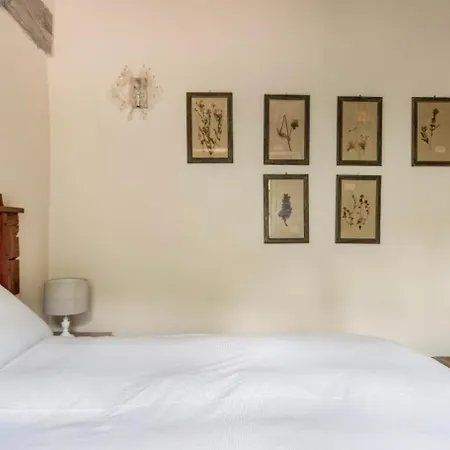 Wp Relais Vignalunga Villa