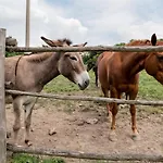 Wp Relais Vignalunga * Bagno Vignoni